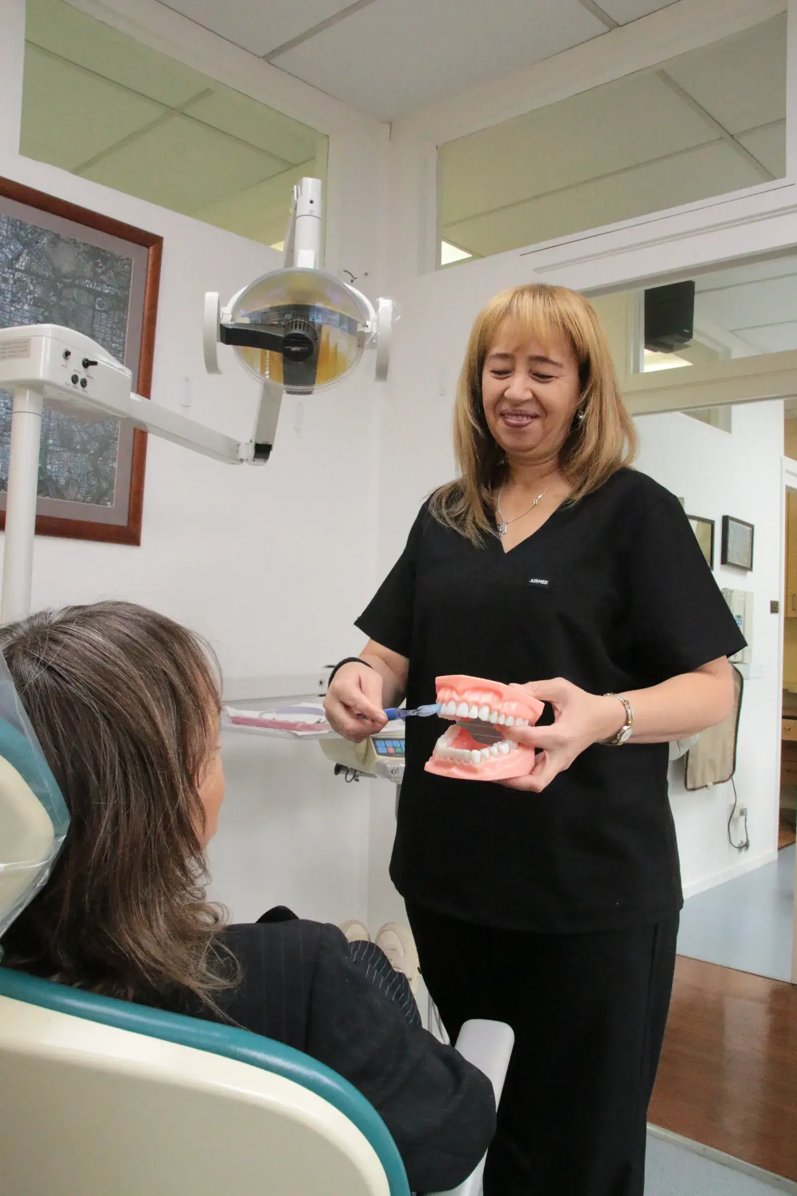 A dentist at East St Kilda Dental explaining brushing technique on a dental model to a seated patient
